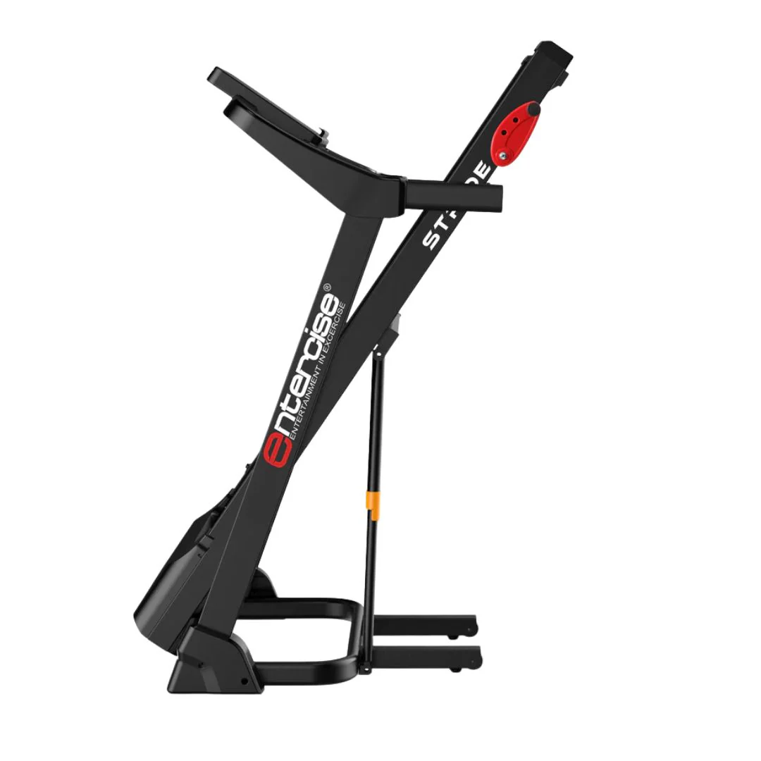 Treadmill Stride - Image 3
