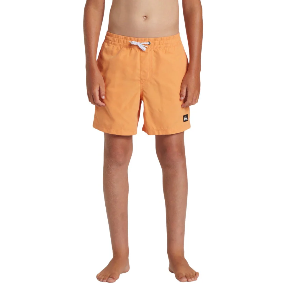 Everyday Solid Volley - Swim Shorts