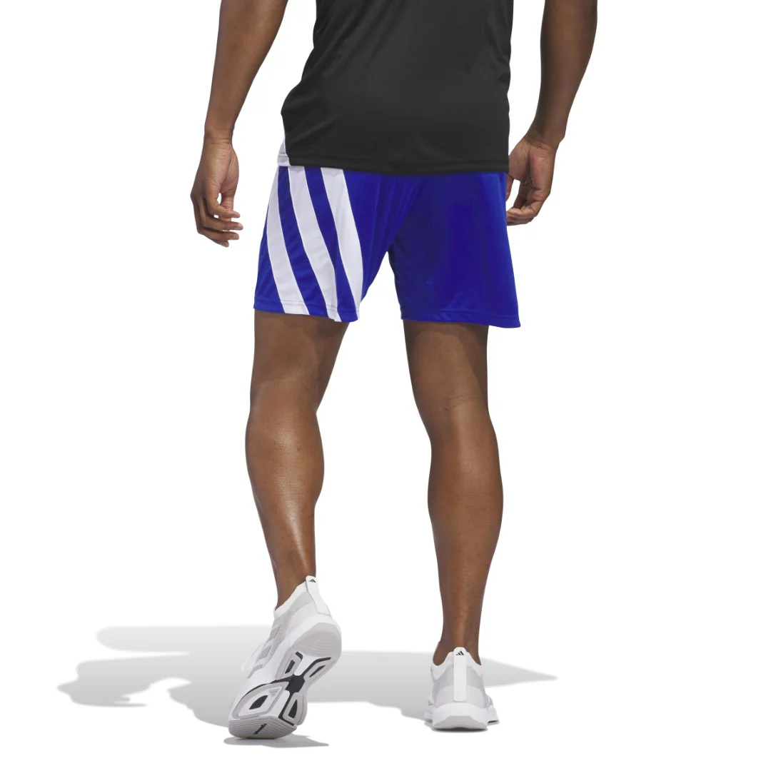 Fortore 23 Shorts - Image 2