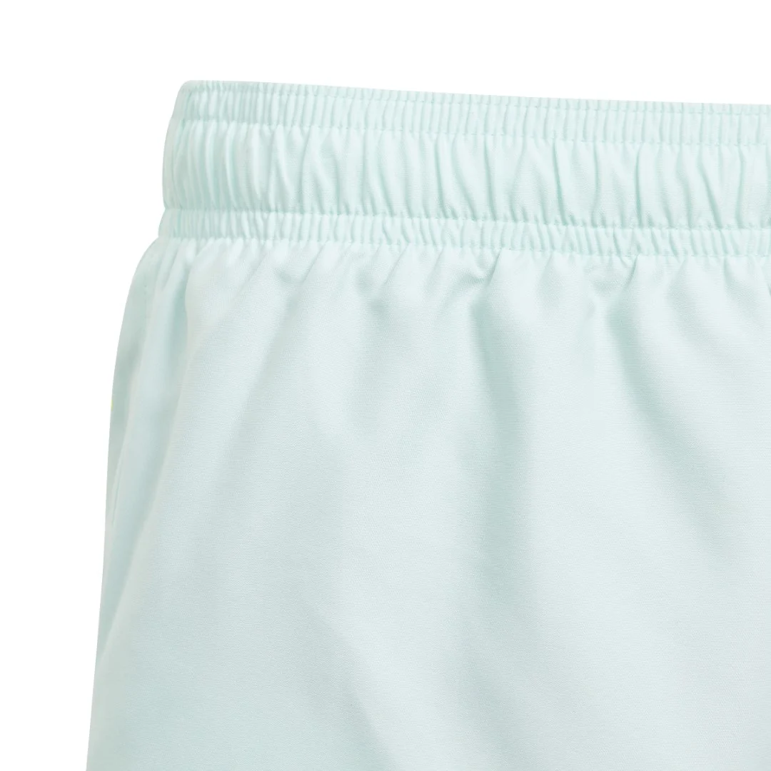 Sportswear Essentials Logo CLX Swim Shorts - Image 4