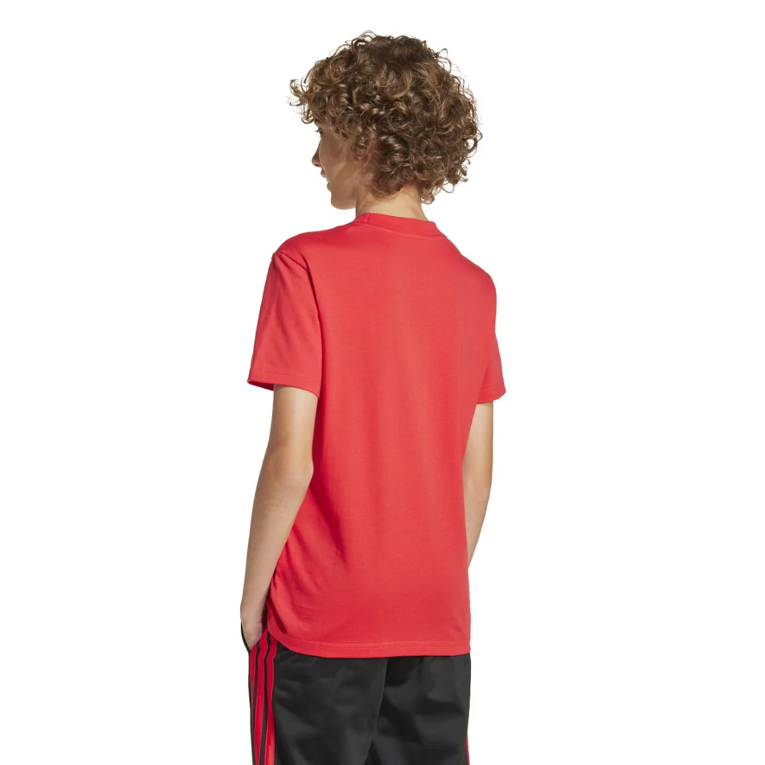 Essentials T-Shirt - Image 4