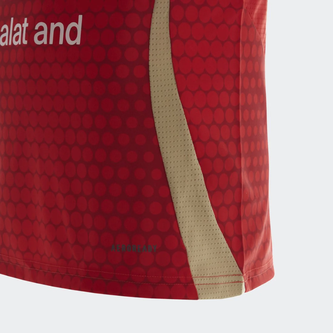Al Ahly Home Jersey - Image 5