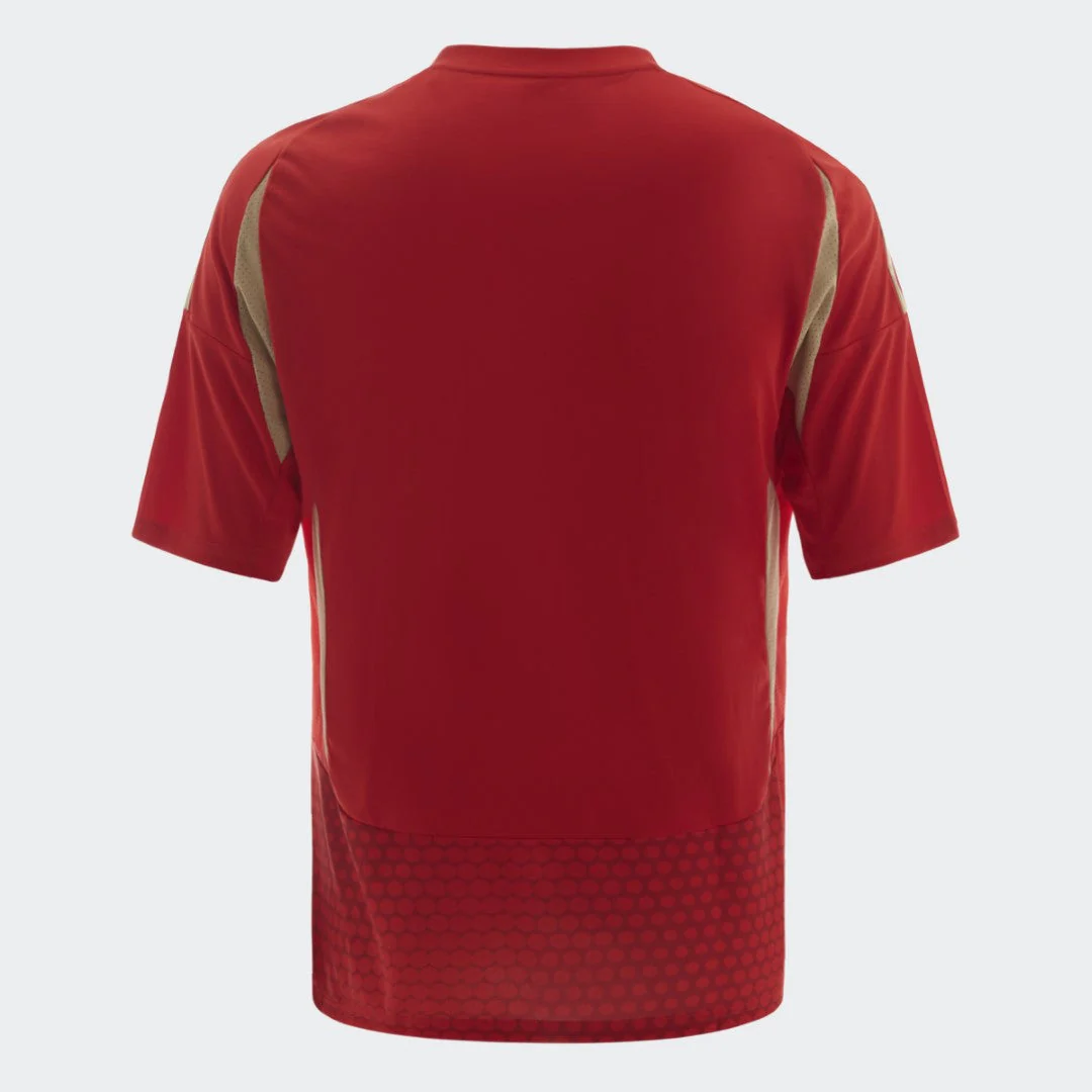Al Ahly 2024 Home Jersey Youth - Image 2