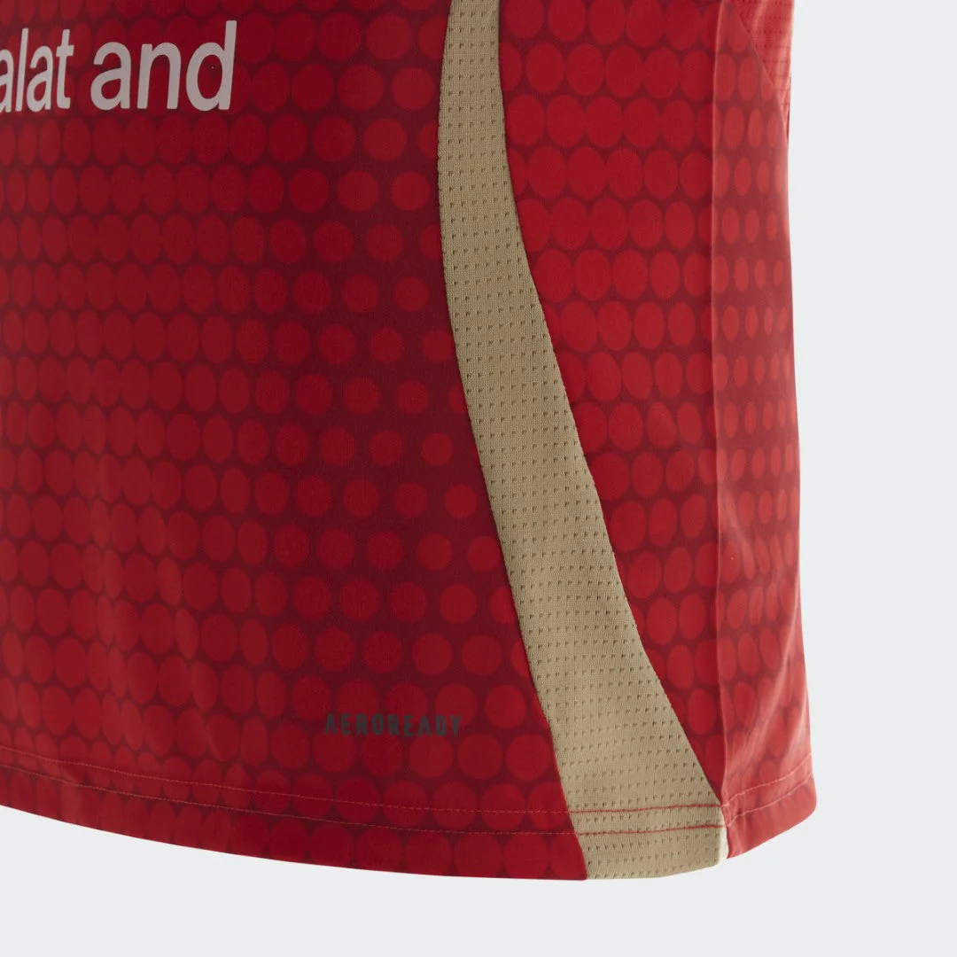 Al Ahly 2024 Home Jersey Youth - Image 5