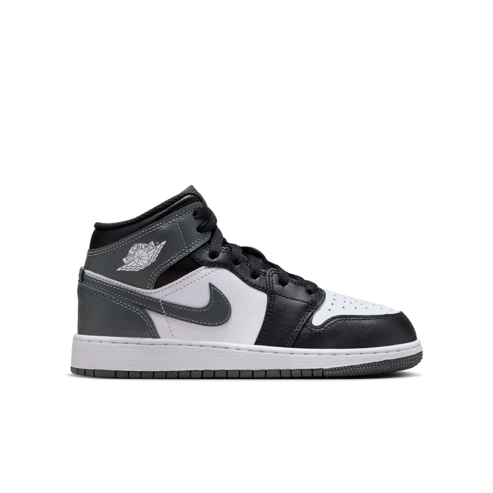 Air Jordan 1 Mid Lifestyle Shoes