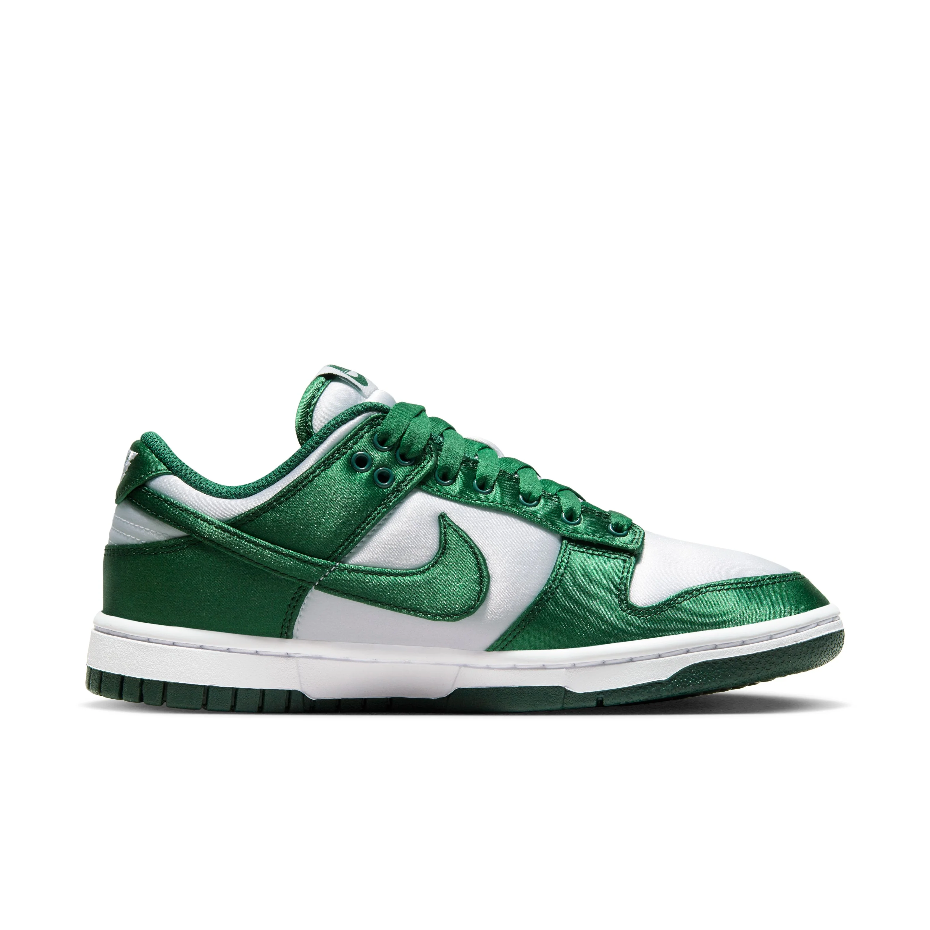 Dunk Lifestyle Shoes