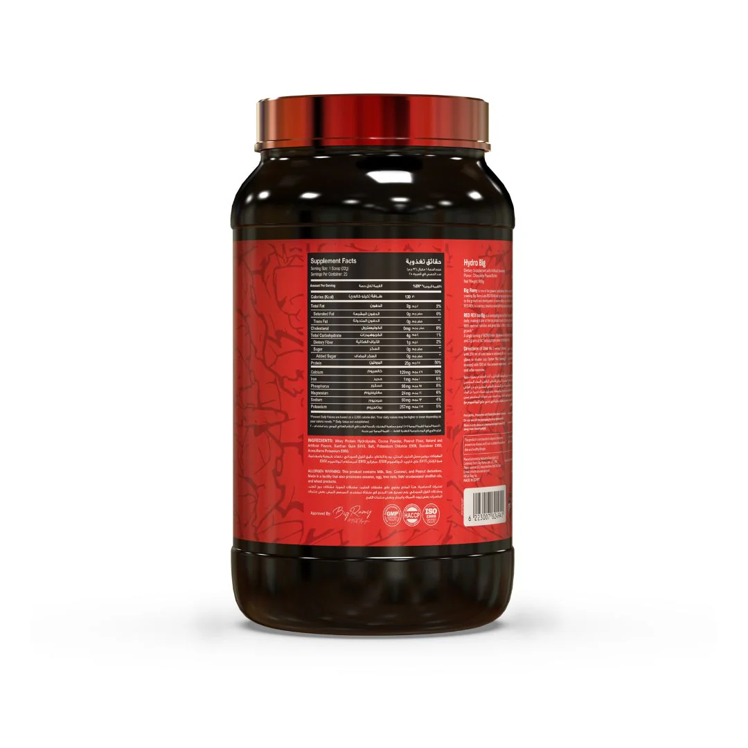Hydro Big Chocolate Peanut Butter - 800 Gm - Image 3