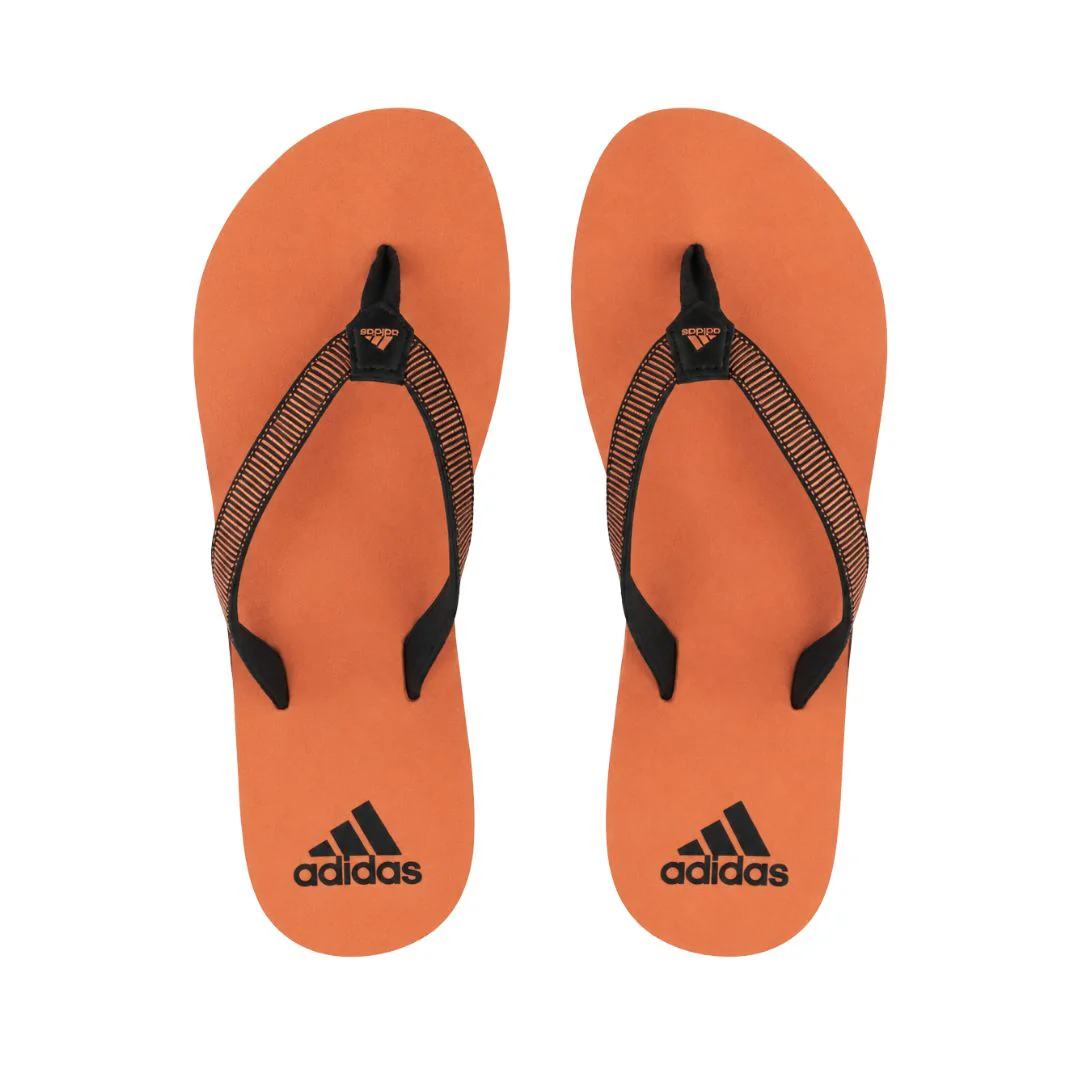 Peirco Slides