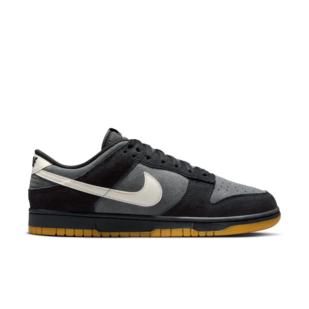 Dunk Low Retro SE Lifestyle Shoes