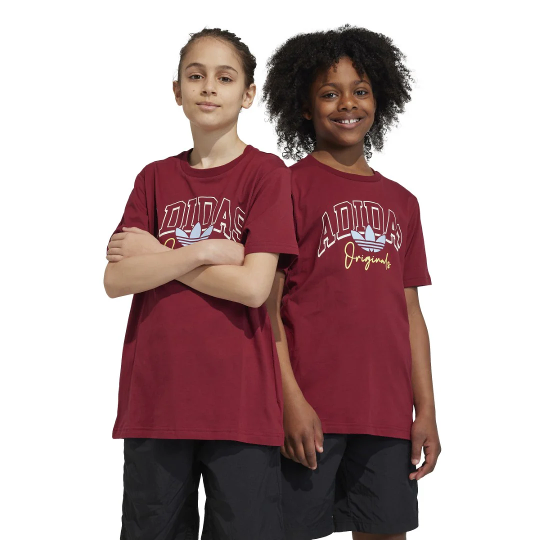 Collegiate Graphic Pack Bf T-Shirt