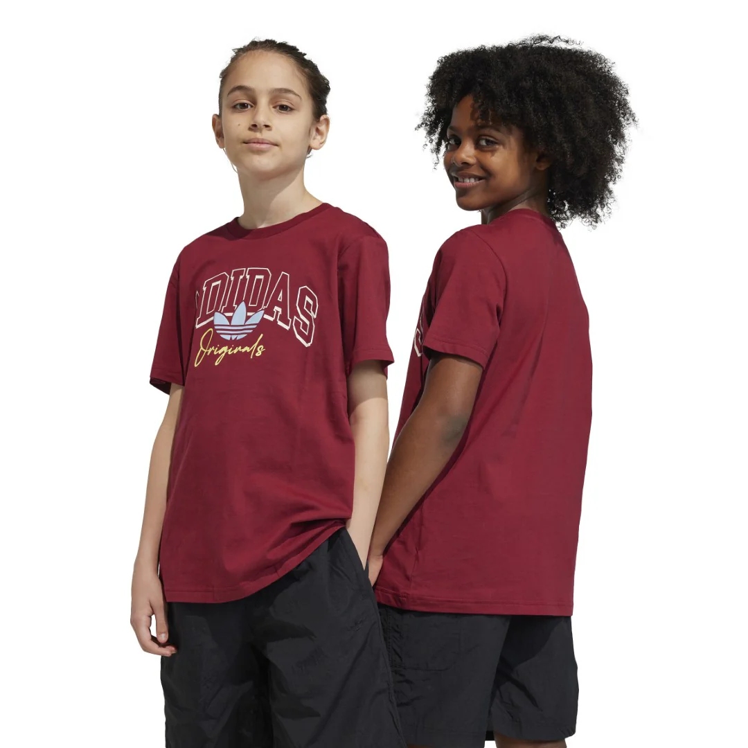 Collegiate Graphic Pack Bf T-Shirt - Image 2