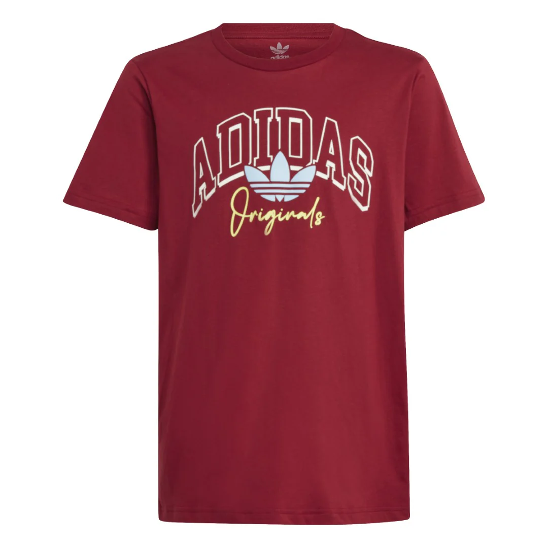 Collegiate Graphic Pack Bf T-Shirt - Image 3
