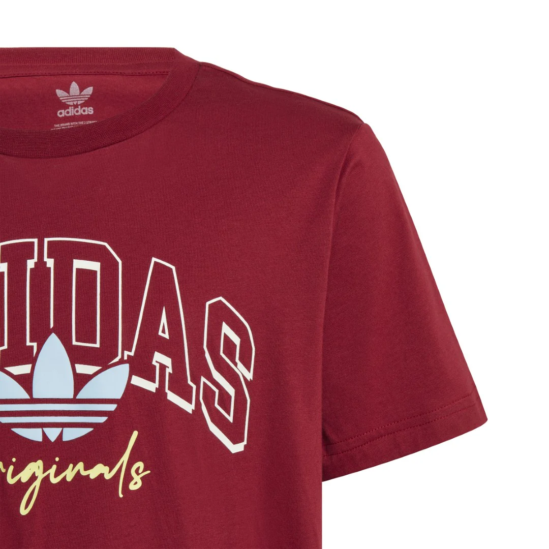 Collegiate Graphic Pack Bf T-Shirt - Image 4
