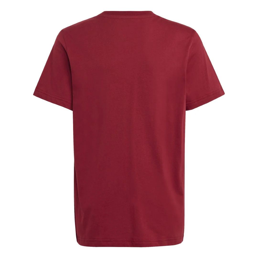 Collegiate Graphic Pack Bf T-Shirt - Image 7