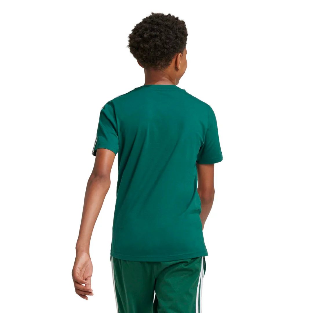 Tiberio 3-Stripes Colorblock Cotton T-Shirt - Image 6