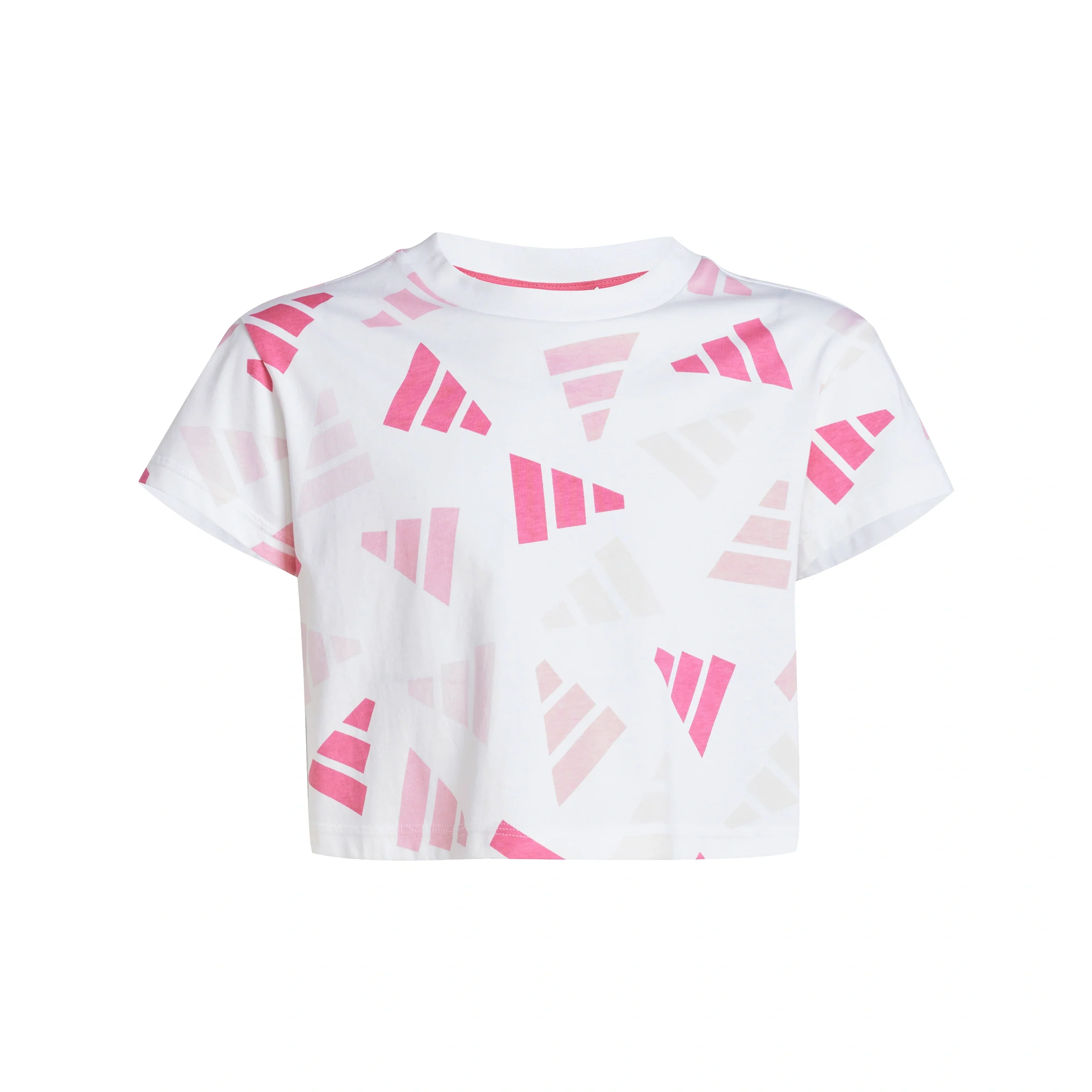 Seasonal Essentials Logo Celebration Crop T-shirt - Image 5