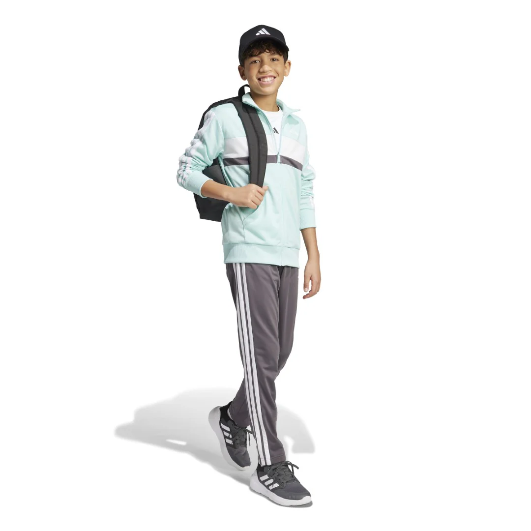 Seasonal Essentials Tiberio 3-Stripes Tricot Track suit - Image 5