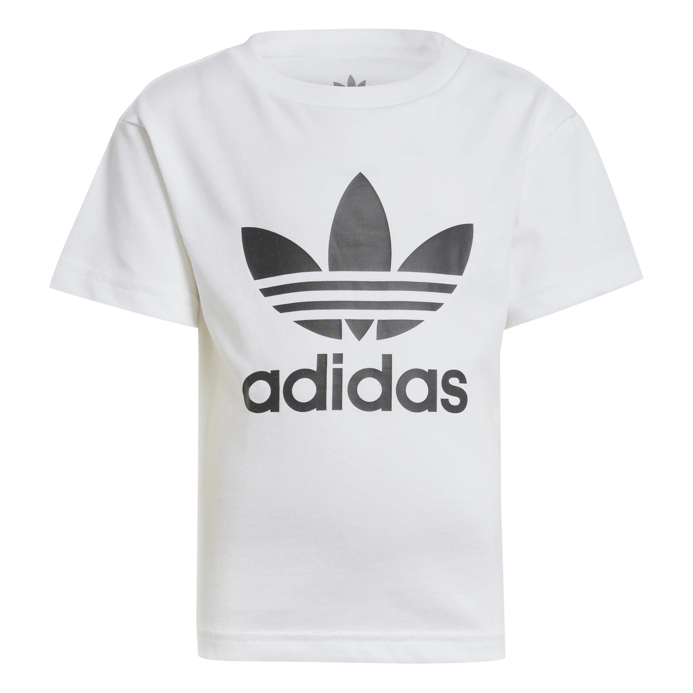 Adicolor Trefoil T-Shirt - Image 8