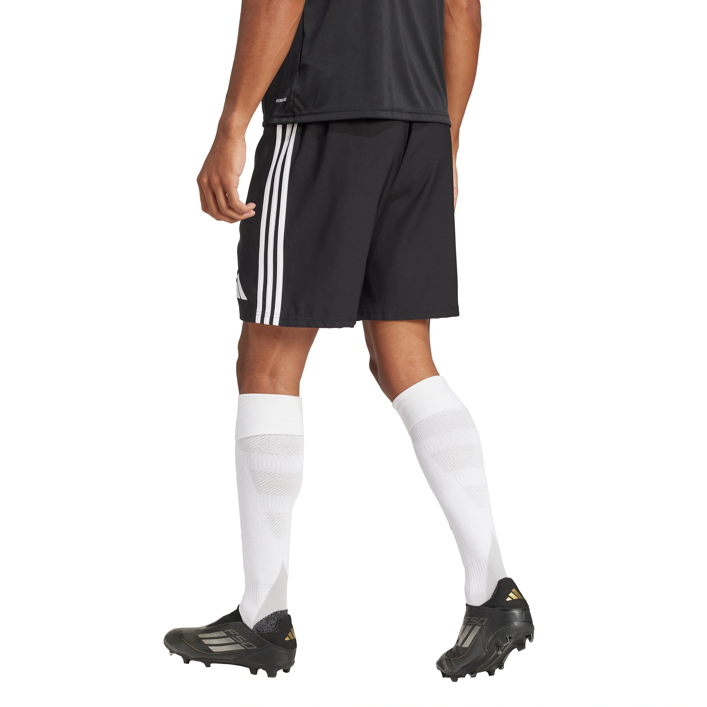 Tastigo 25 Shorts - Image 3