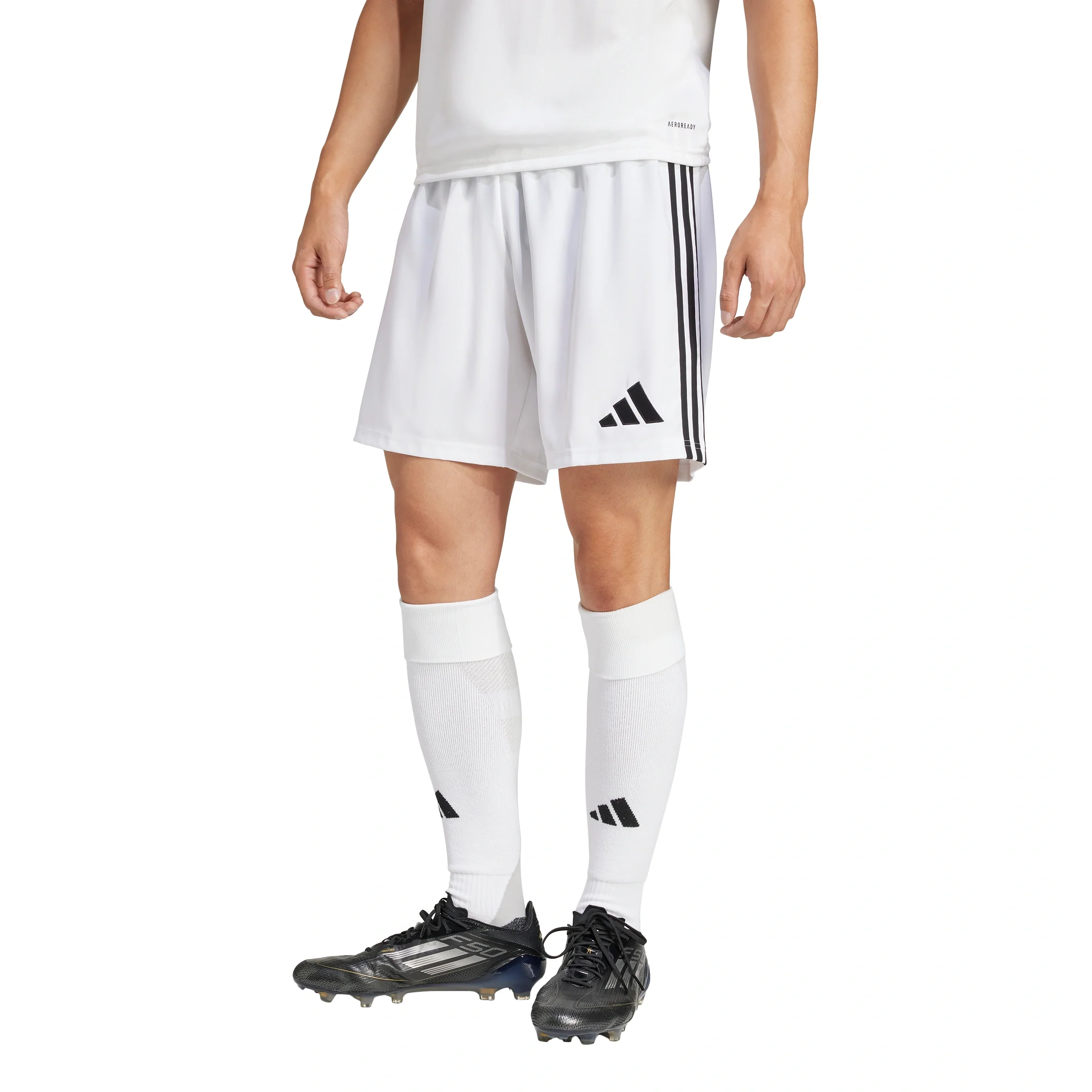 Tastigo 25 Shorts