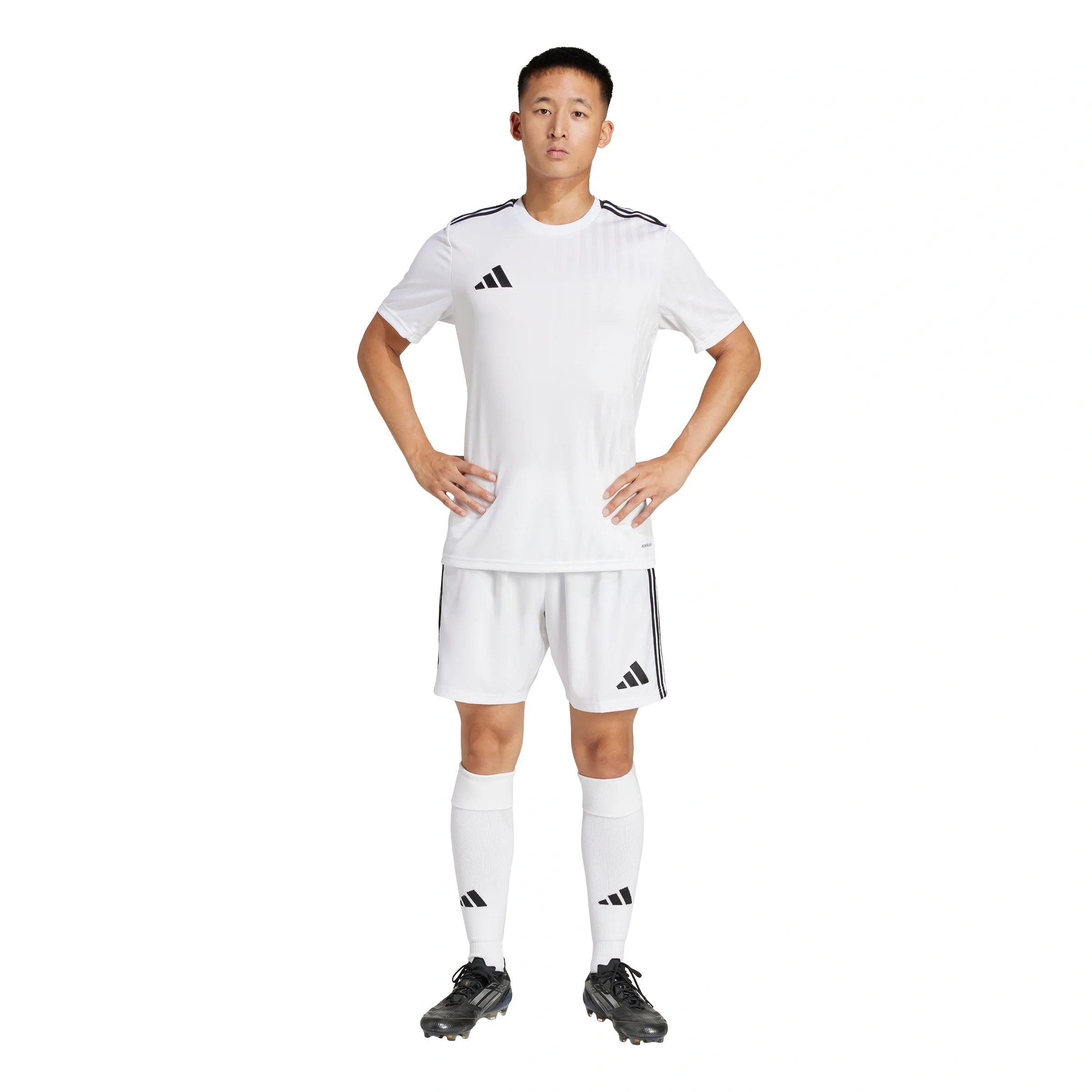 Tastigo 25 Shorts - Image 6