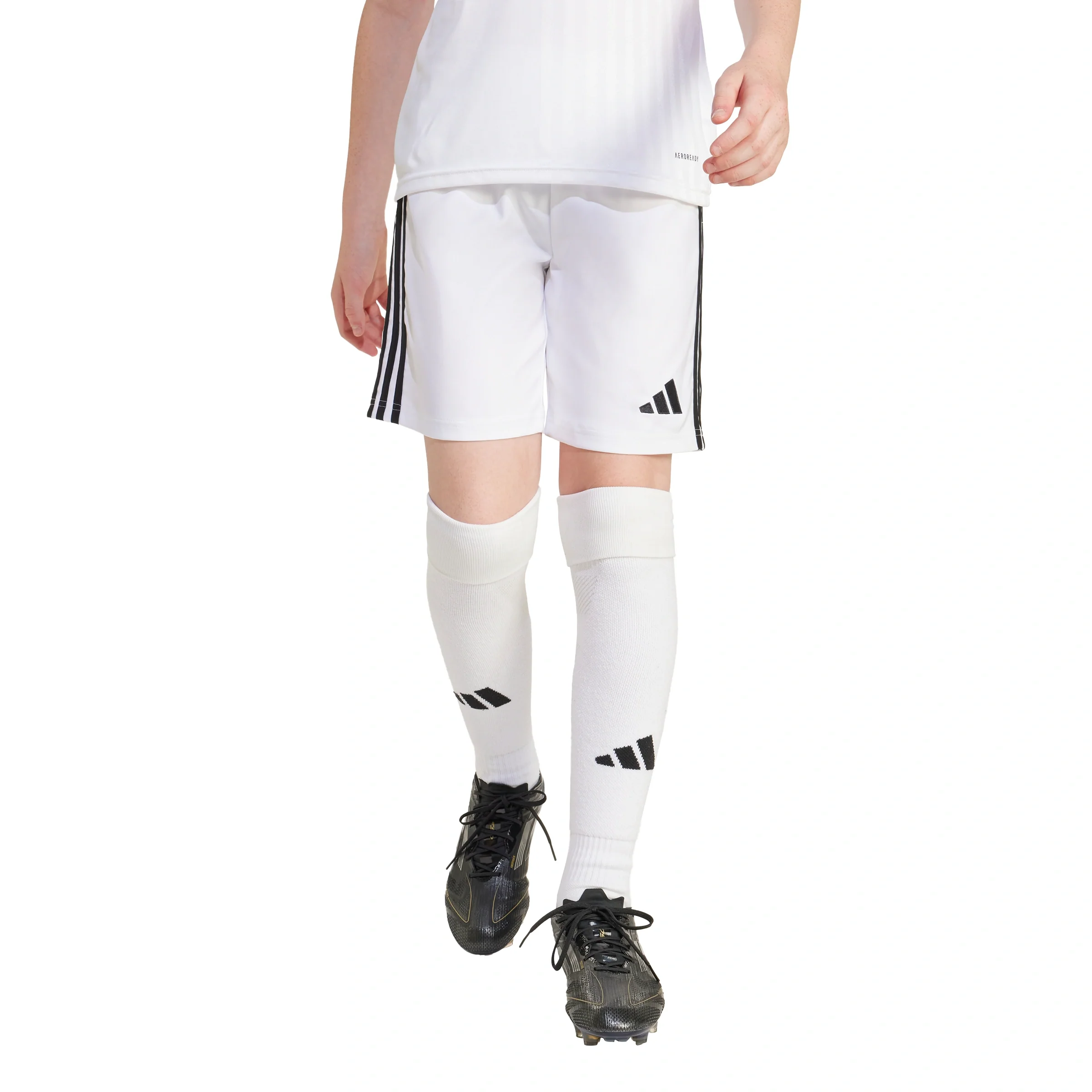 Tastigo 25 Shorts