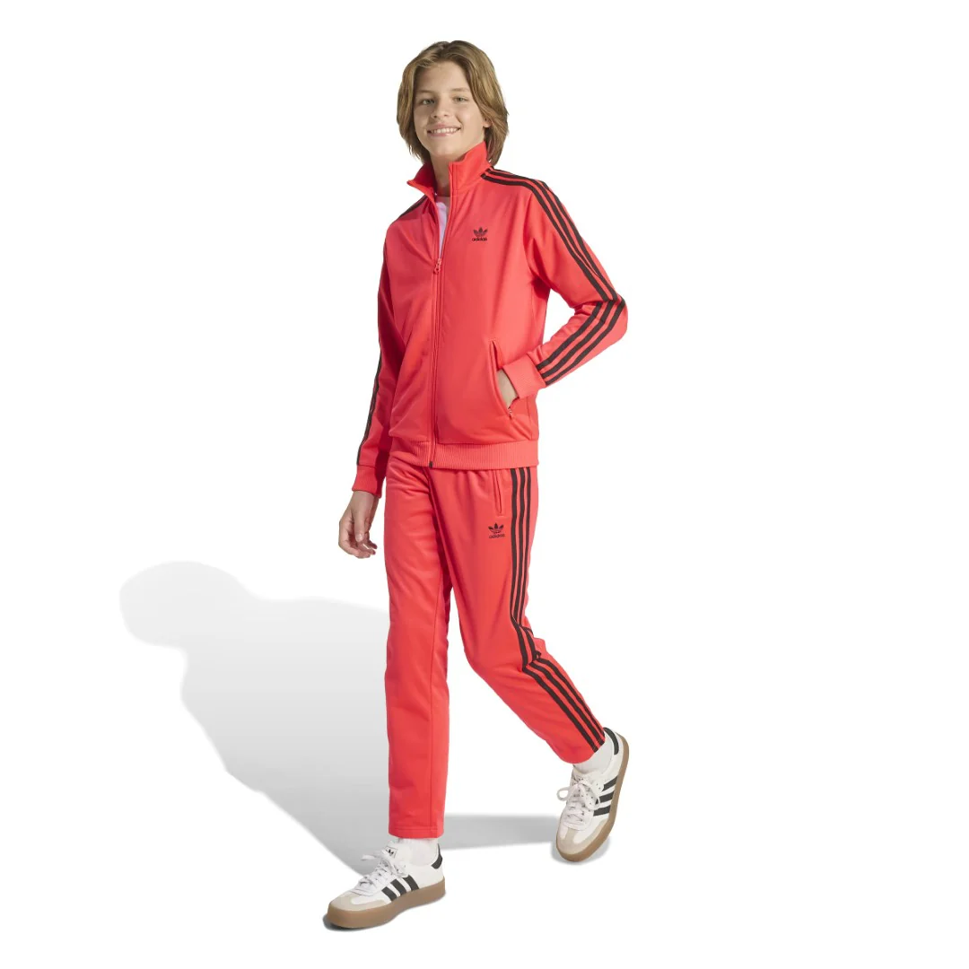 Adicolor Firebird Pants - Image 8