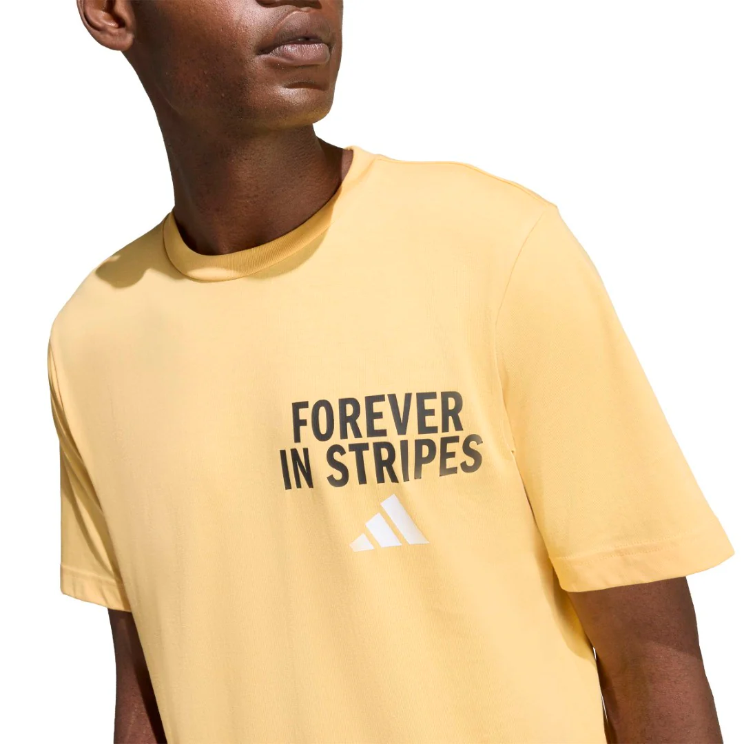 Forever In Stripes Graphic T-Shirt - Image 4