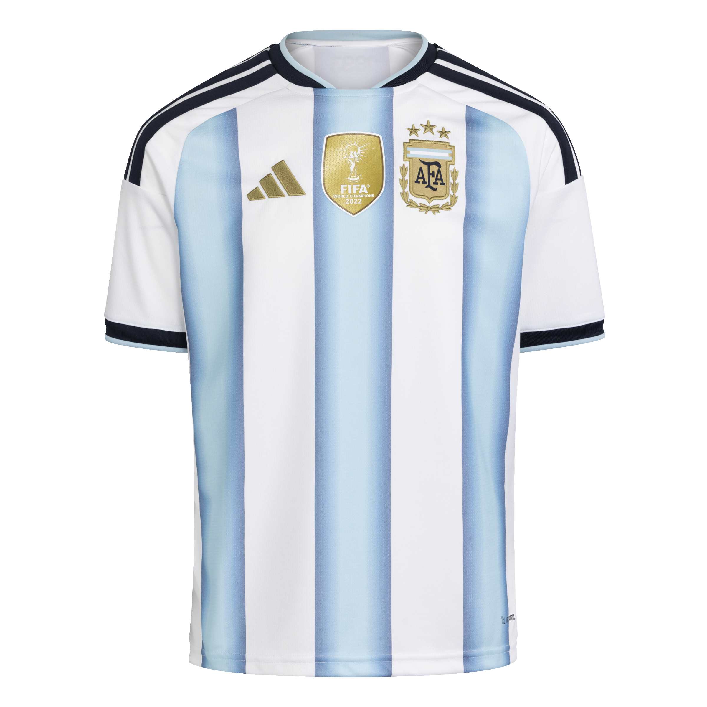 Argentina 26 Home Jersey - Image 8