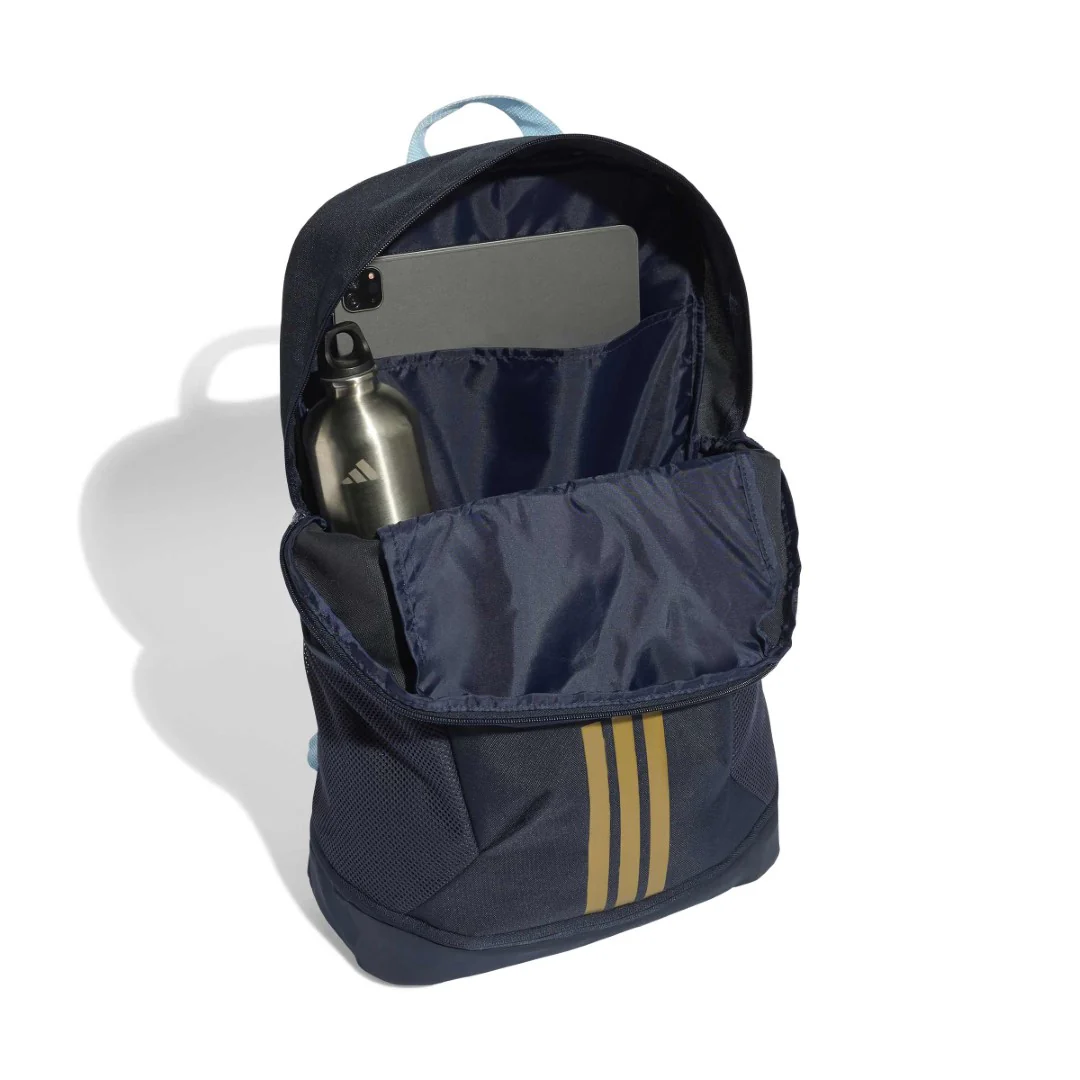 Afa Argentina Backpack - Image 4