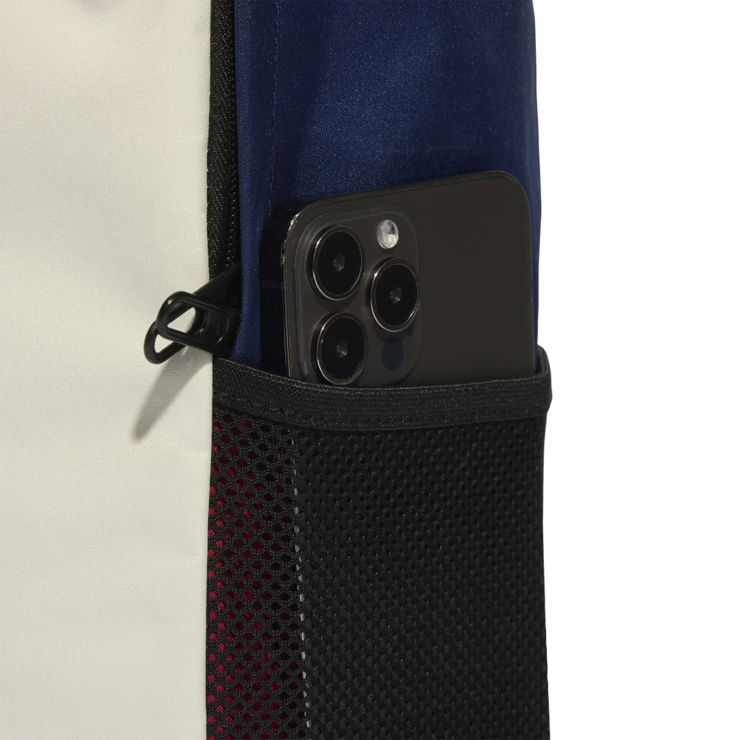 Linear Colorblock Backpack - Image 5
