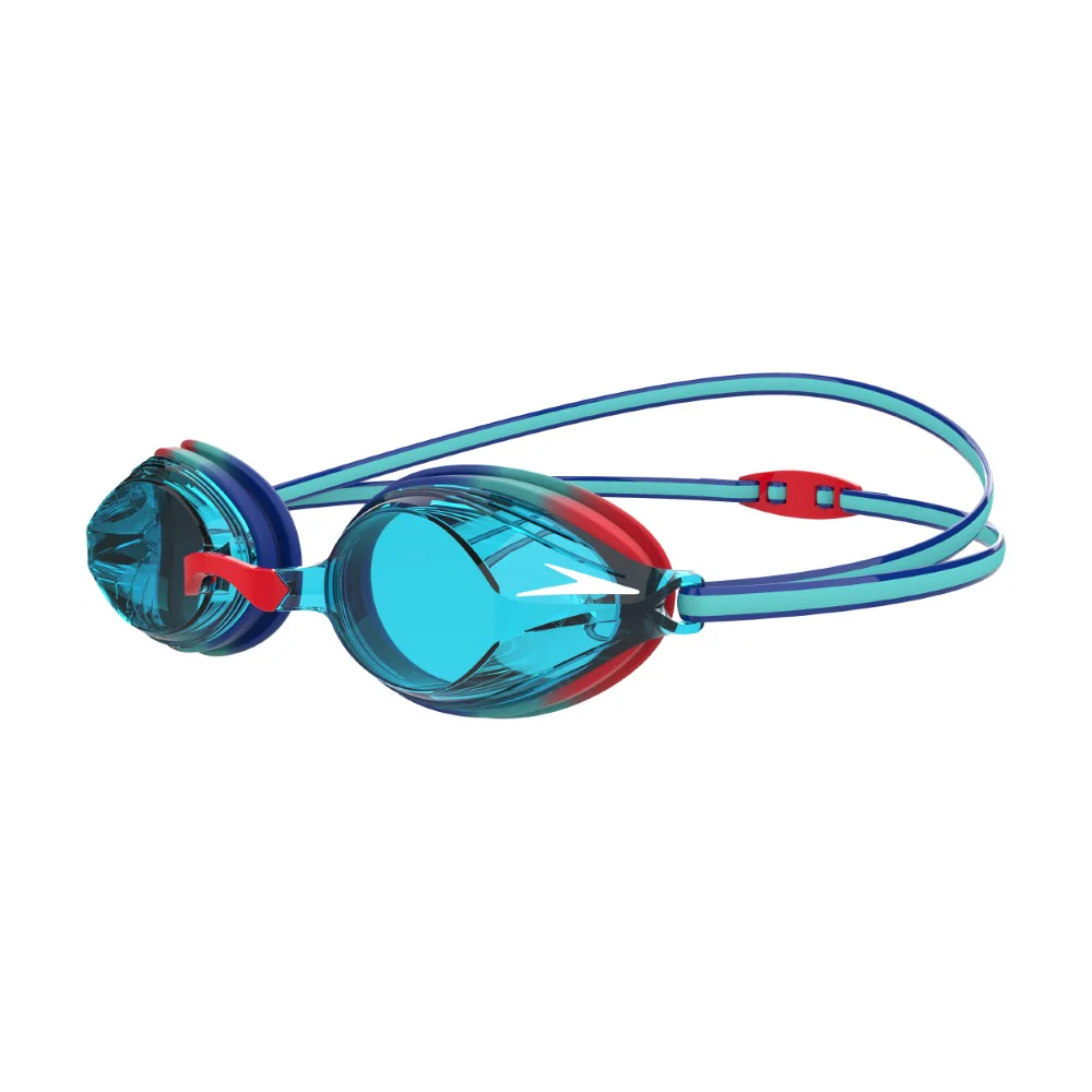 Vengeance Goggles